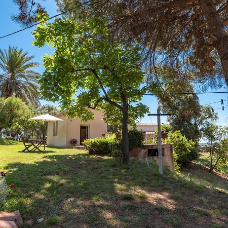 Holiday Home Maison Josee By Interhome Cervione Dış mekan fotoğraf