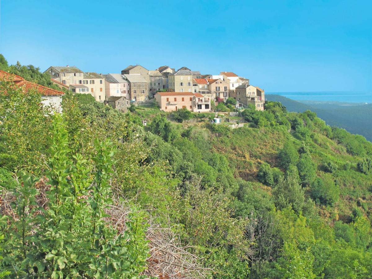 Holiday Home Maison Josee By Interhome Cervione Dış mekan fotoğraf