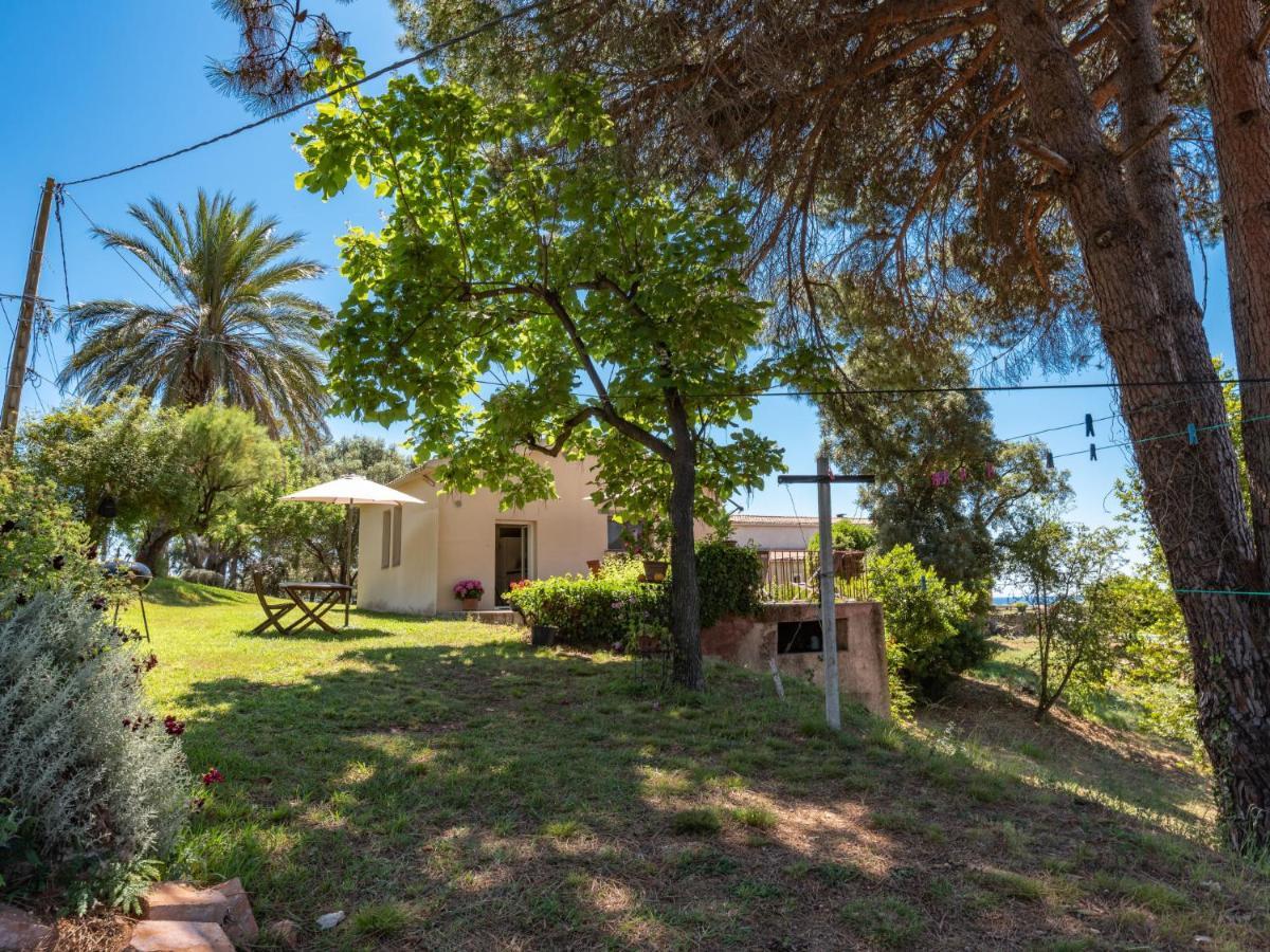 Holiday Home Maison Josee By Interhome Cervione Dış mekan fotoğraf