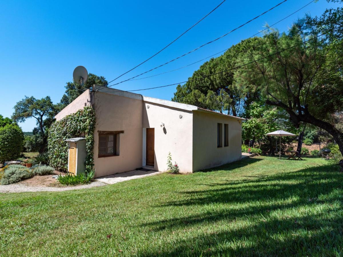Holiday Home Maison Josee By Interhome Cervione Dış mekan fotoğraf