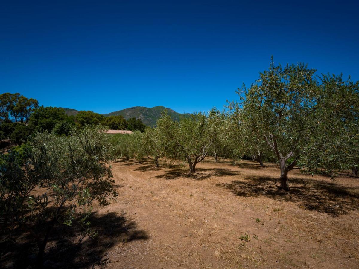 Holiday Home Maison Josee By Interhome Cervione Dış mekan fotoğraf