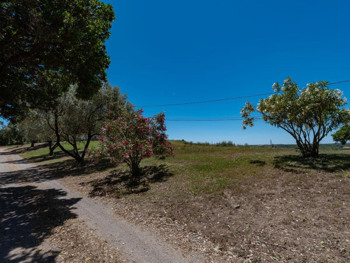 Holiday Home Maison Josee By Interhome Cervione Dış mekan fotoğraf